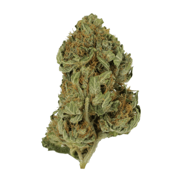 Bubblegum – 1 ounce | Kootenay Botanicals Canada