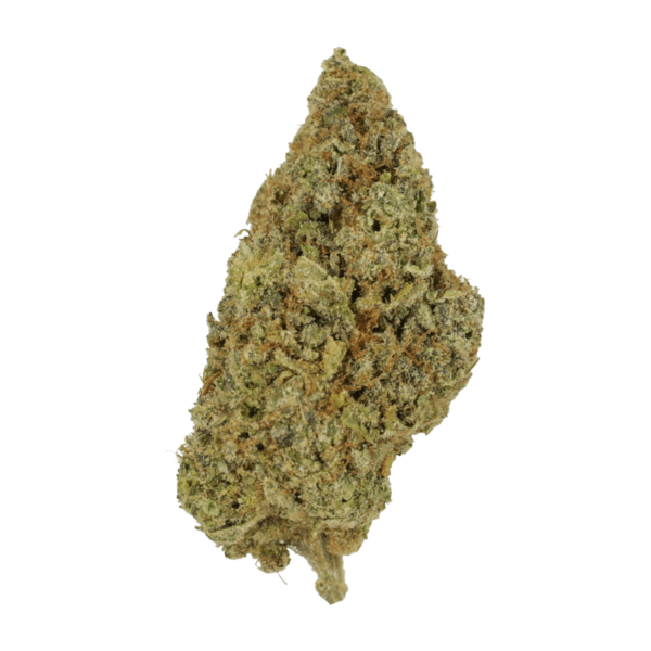 Grape Mimosa | Kootenay Botanicals Canada