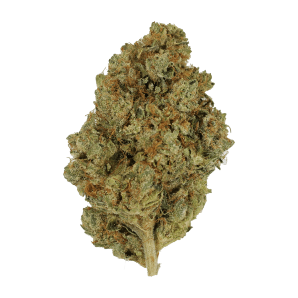 Nepalese | Kootenay Botanicals Canada