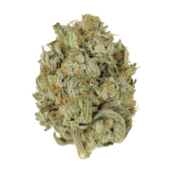 Blue Dream (Popcorn) | Kootenay Botanicals Canada