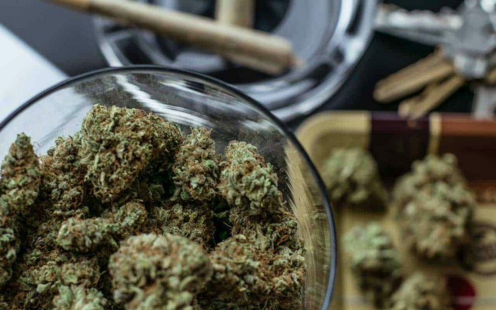 Premium cannabis vs Affordable Weed | Kootenay Botanicals Canada