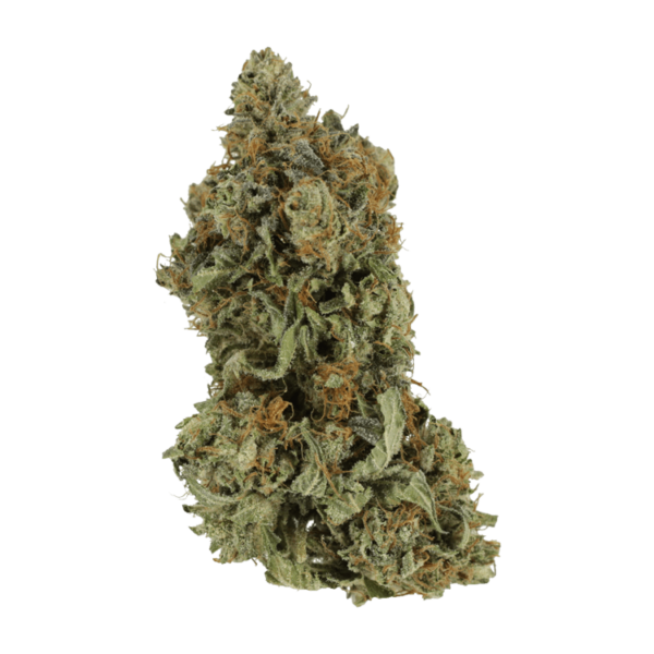 Bruce Banner #3 | Kootenay Botanicals Canada