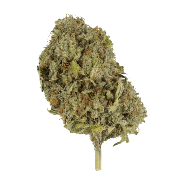 Chemo | Kootenay Botanicals Canada