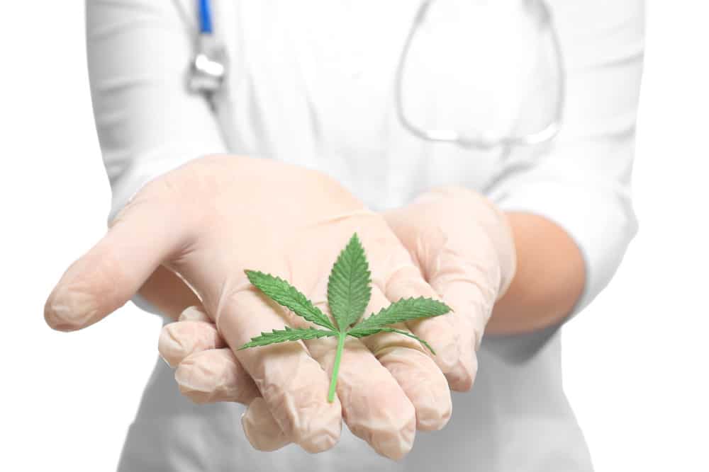 Cannabis as a natural cure for pain | Kootenay Botanicals Canada