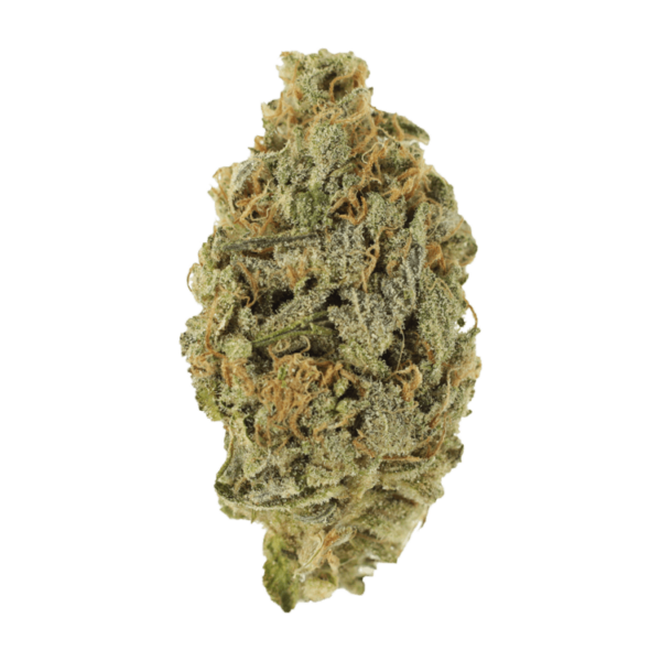 Lavender | Kootenay Botanicals Canada