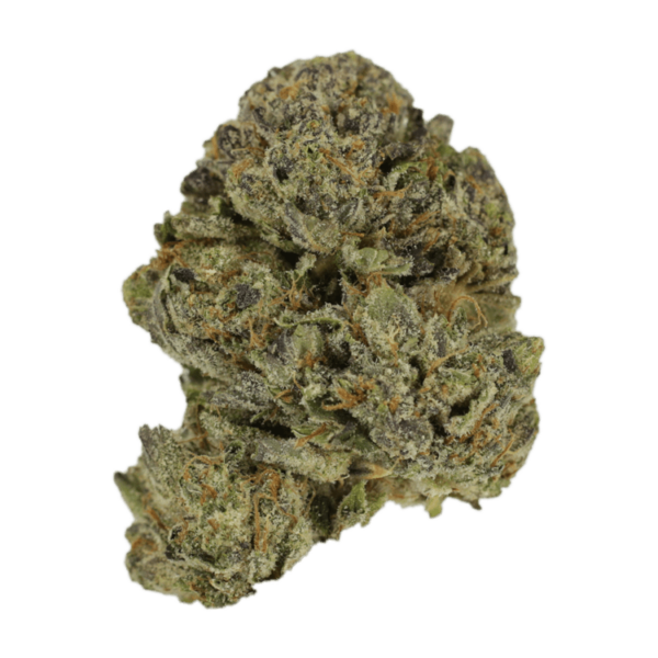 Lavender | Kootenay Botanicals Canada