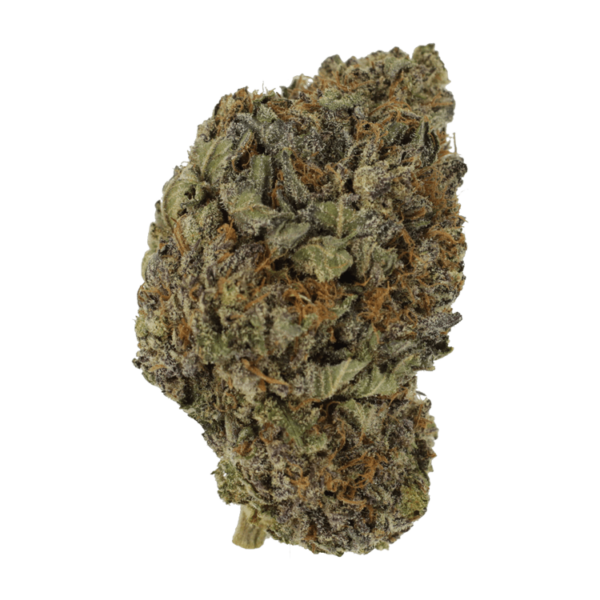 Black Diamond | Kootenay Botanicals Canada