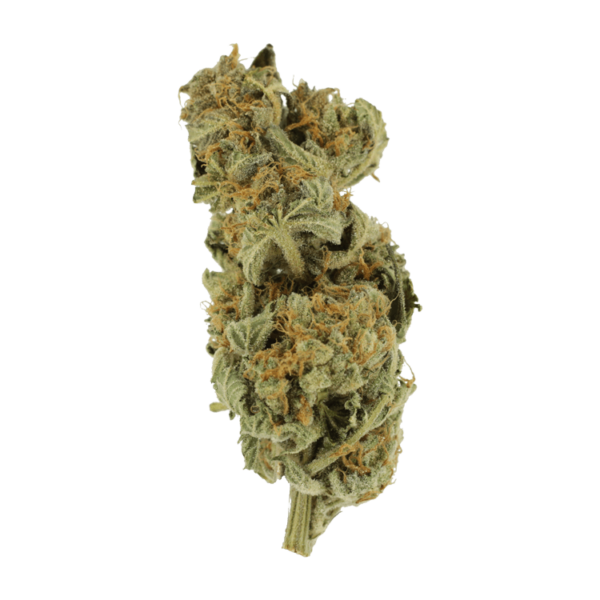Gorilla Glue | Kootenay Botanicals Canada