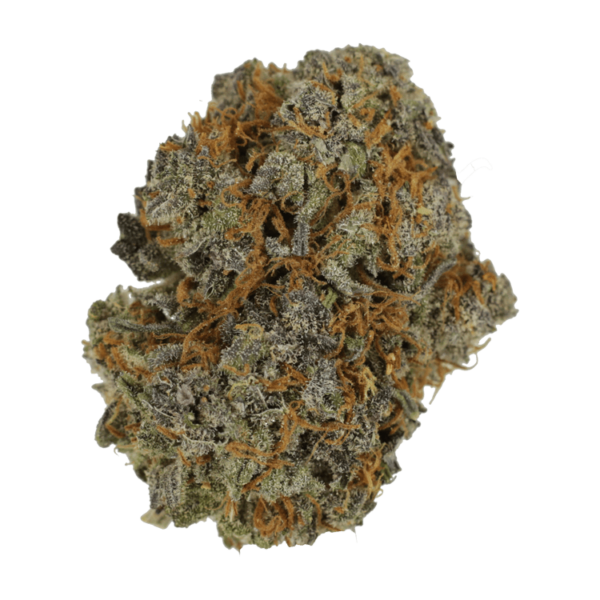 Jack Herer 1 Ounce | Kootenay Botanicals Canada