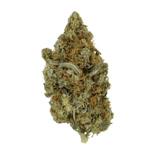 Jack Herer 1 Ounce | Kootenay Botanicals Canada