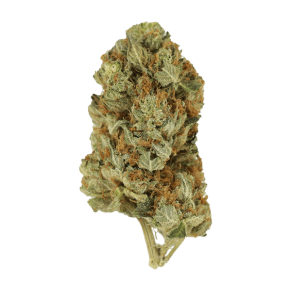 Jet Fuel | Kootenay Botanicals Canada