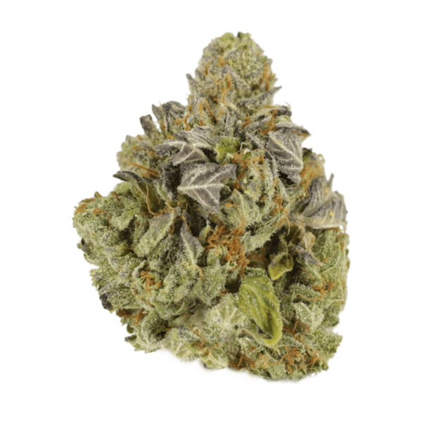 Jet Fuel | Kootenay Botanicals Canada