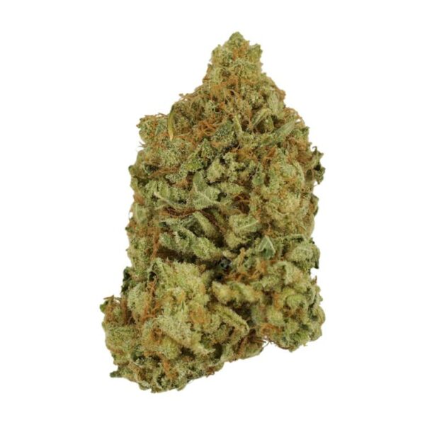 Blueberry | Kootenay Botanicals Canada