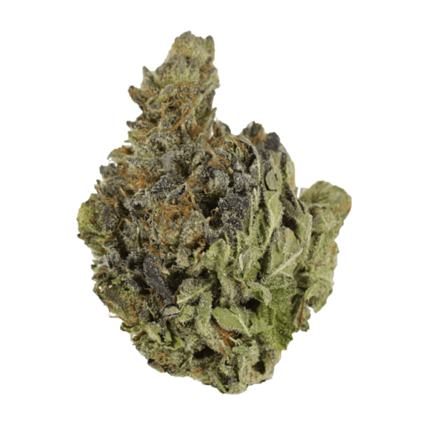 Chocolope | Kootenay Botanicals Canada