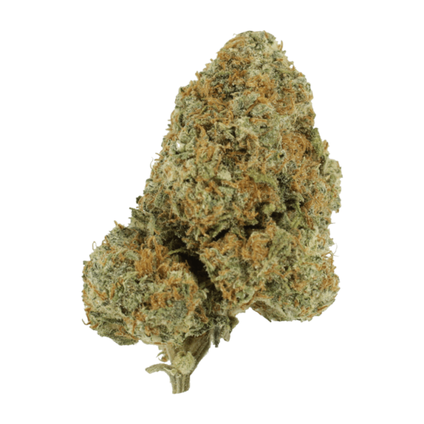 Blue Rhino | Kootenay Botanicals Canada