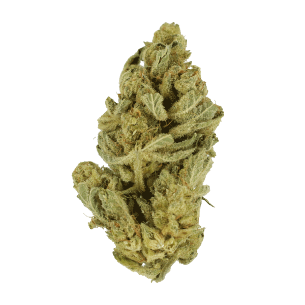 Hindu Kush – 7g | Kootenay Botanicals Canada