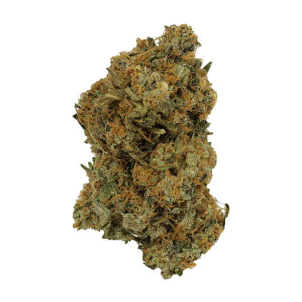 Mimosa | Kootenay Botanicals Canada