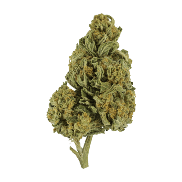 Blackwater | Kootenay Botanicals Canada