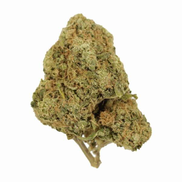 Tangerine Dream | Kootenay Botanicals Canada