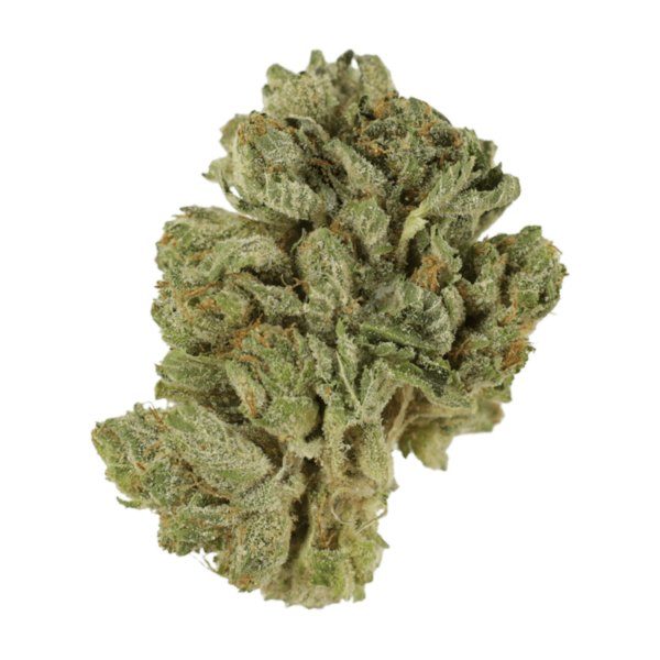 Northern Lights 2 for $69 | Kootenay Botanicals Canada