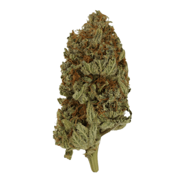 Congo | Kootenay Botanicals Canada