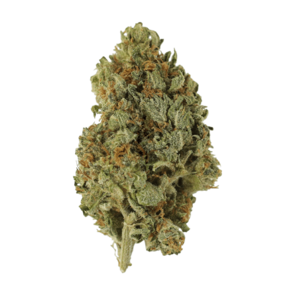 Sugar Cookies | Kootenay Botanicals Canada