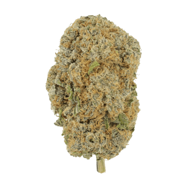 Pine Tar - | Kootenay Botanicals Canada