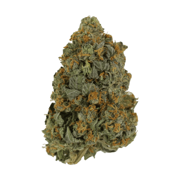 Skunkberry – 1 ounce | Kootenay Botanicals Canada