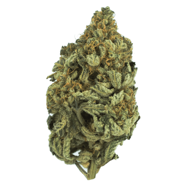 Bakerstreet | Kootenay Botanicals Canada