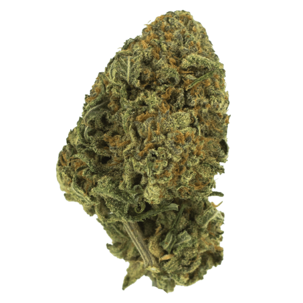 Black Nuken | Kootenay Botanicals Canada