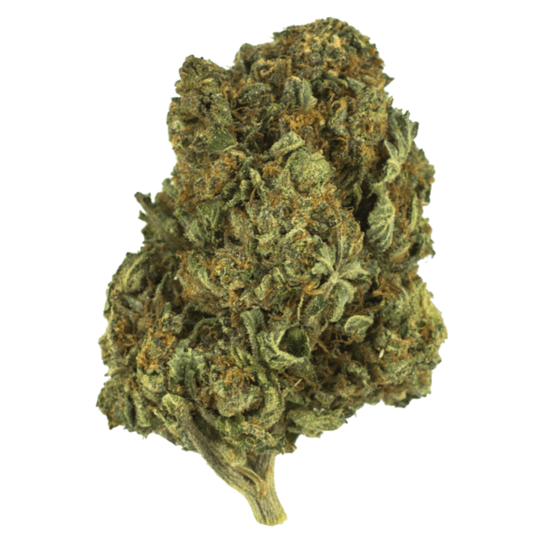 Berry White – 1 ounce | Kootenay Botanicals Canada