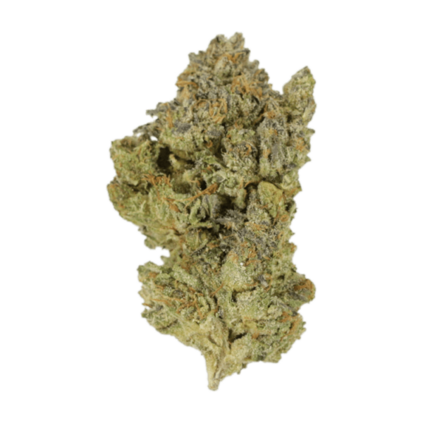 Golden Goat | Kootenay Botanicals Canada