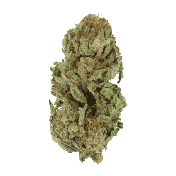 Golden Goat | Kootenay Botanicals Canada