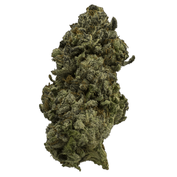 Fire Alien Urkle | Kootenay Botanicals Canada