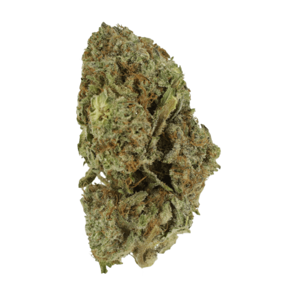 Gelato Sorbet – 1 ounce | Kootenay Botanicals Canada