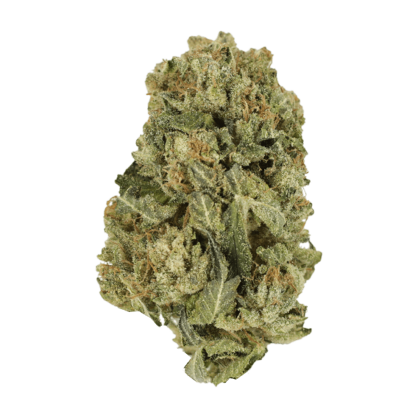 Black Domina | Kootenay Botanicals Canada