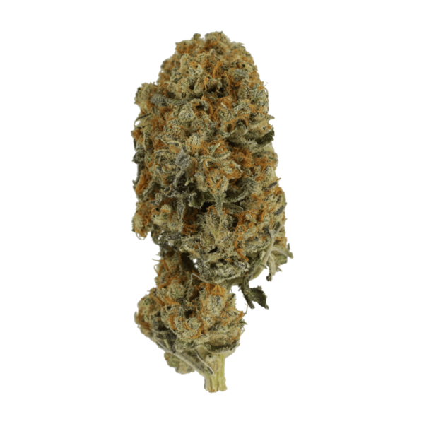 Black Cherry Soda | Kootenay Botanicals Canada