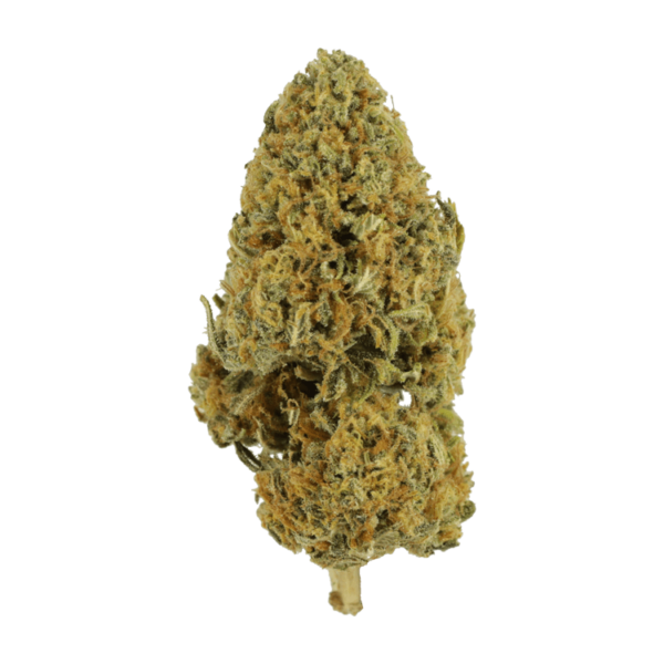Grapefruit – 1 ounce | Kootenay Botanicals Canada