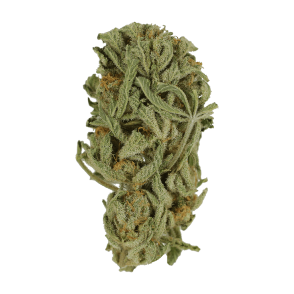 Master Kush Ultra | Kootenay Botanicals Canada