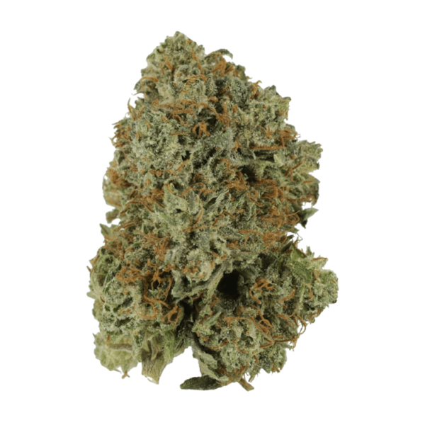 Pink Rockstar | Kootenay Botanicals Canada