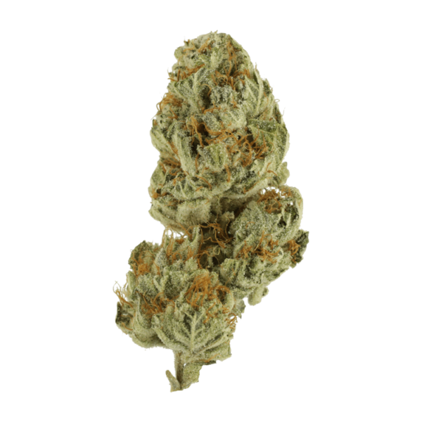Strawberry Glue | Kootenay Botanicals Canada