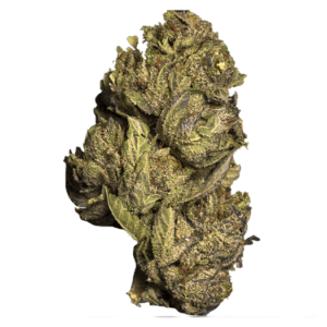 Dosi Dos | Kootenay Botanicals Canada