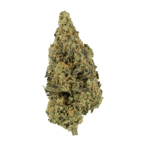 Lava Fuel | Kootenay Botanicals Canada
