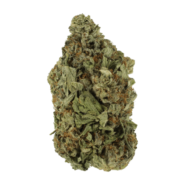 Shishkaberry | Kootenay Botanicals Canada