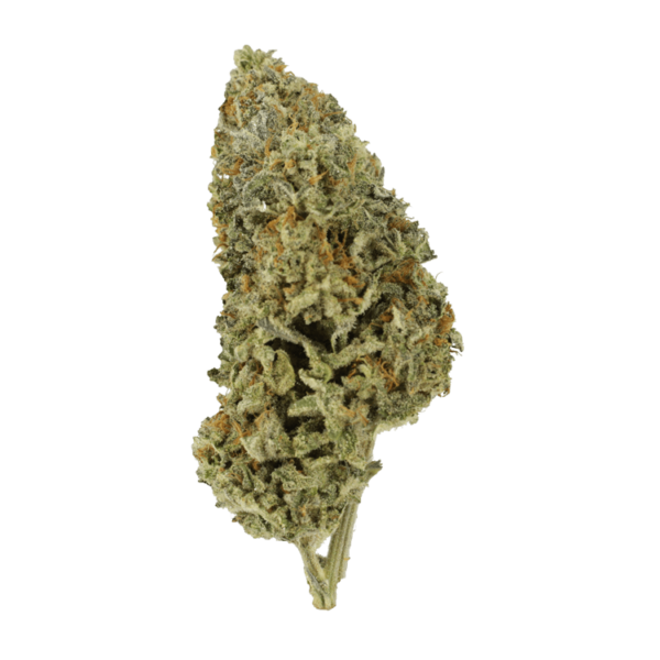 Super Silver Sour Diesel | Kootenay Botanicals Canada