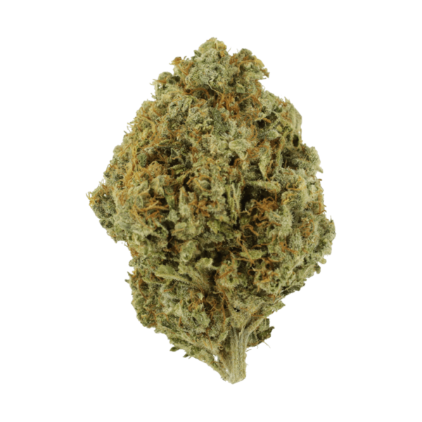 Orange Barb | Kootenay Botanicals Canada