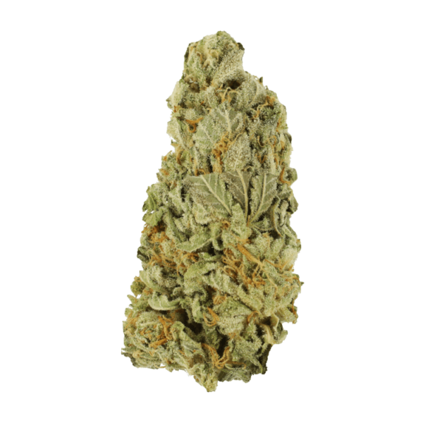 Green Congo | Kootenay Botanicals Canada
