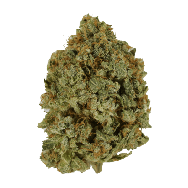 Crazy Glue | Kootenay Botanicals Canada