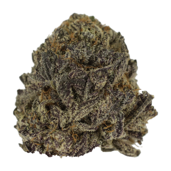 Hawaiian Snow | Kootenay Botanicals Canada