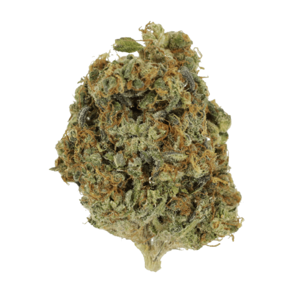 Sunset Sherbert | Kootenay Botanicals Canada